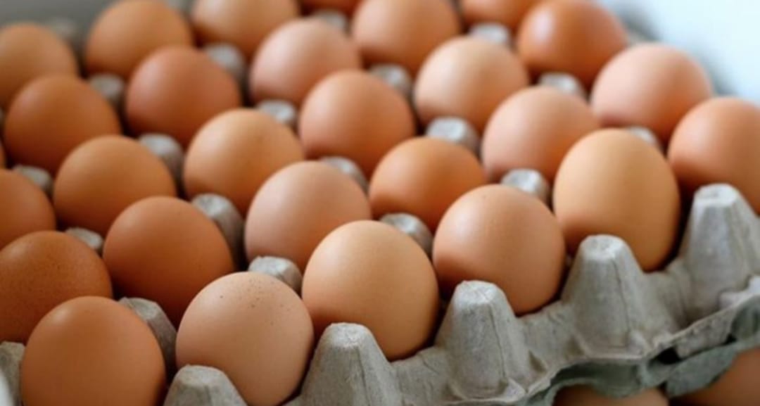 &OElig;ufs Frais Kukulezi