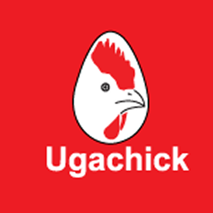 Ugachick